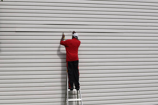 Best Stone Veneer Siding  in Liolnton, NC