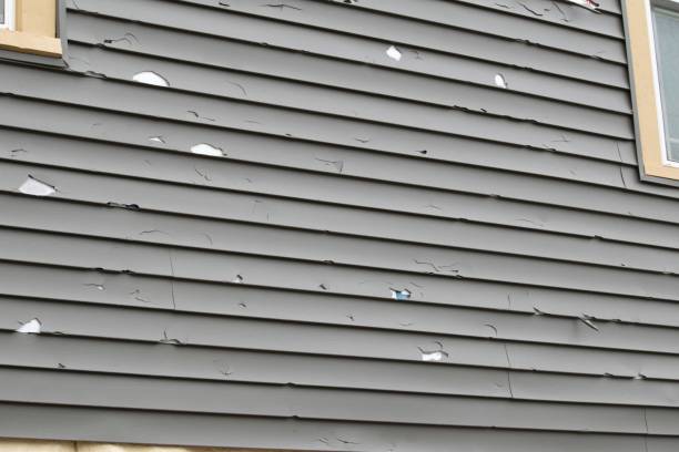  Liolnton, NC Siding Installation Pros