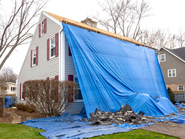 Best Custom Siding Design  in Liolnton, NC