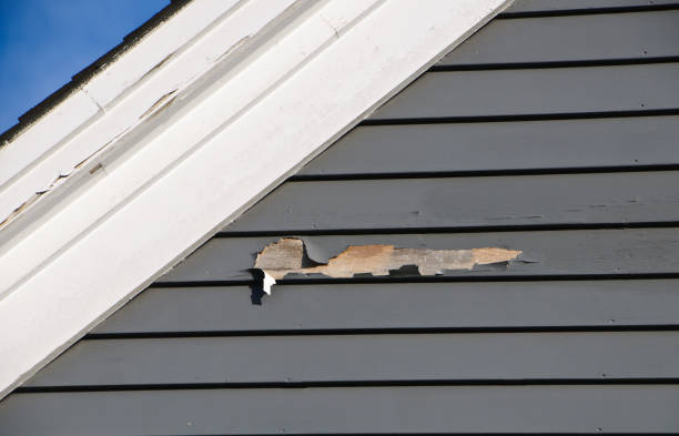 Best Fascia and Soffit Installation  in Liolnton, NC